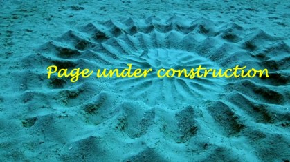 puffer fish under construction